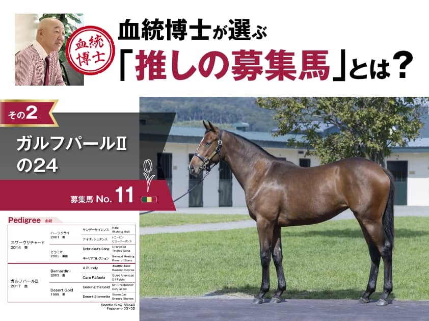 血統分析_ガルフパールⅡの24