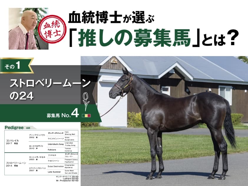 血統博士の2025年注目募集馬の血統・配合分析 第1弾