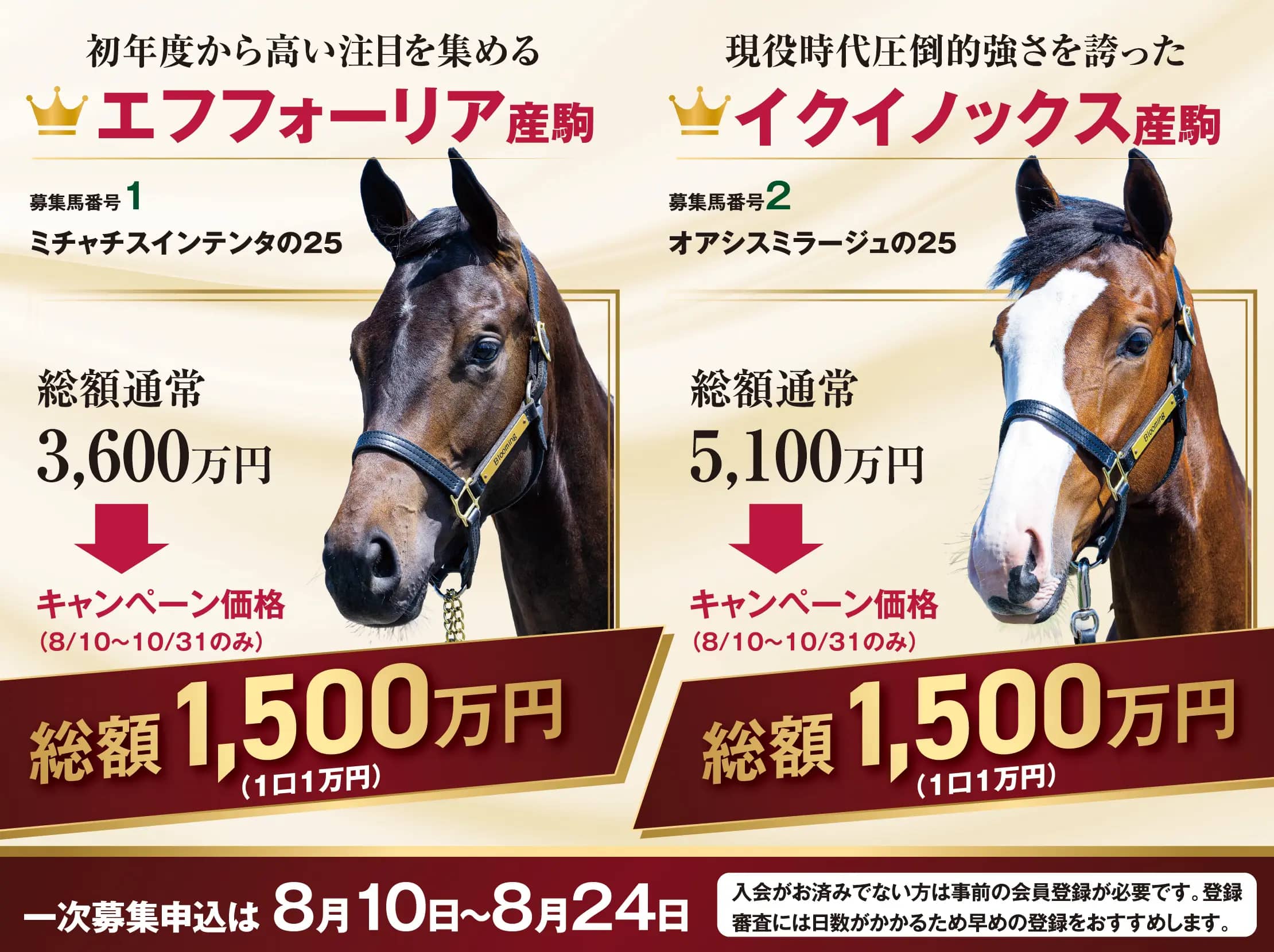 トップバナー